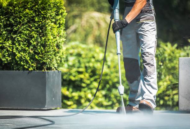 Best Roof Washing  in Indian Harbour Beach, FL